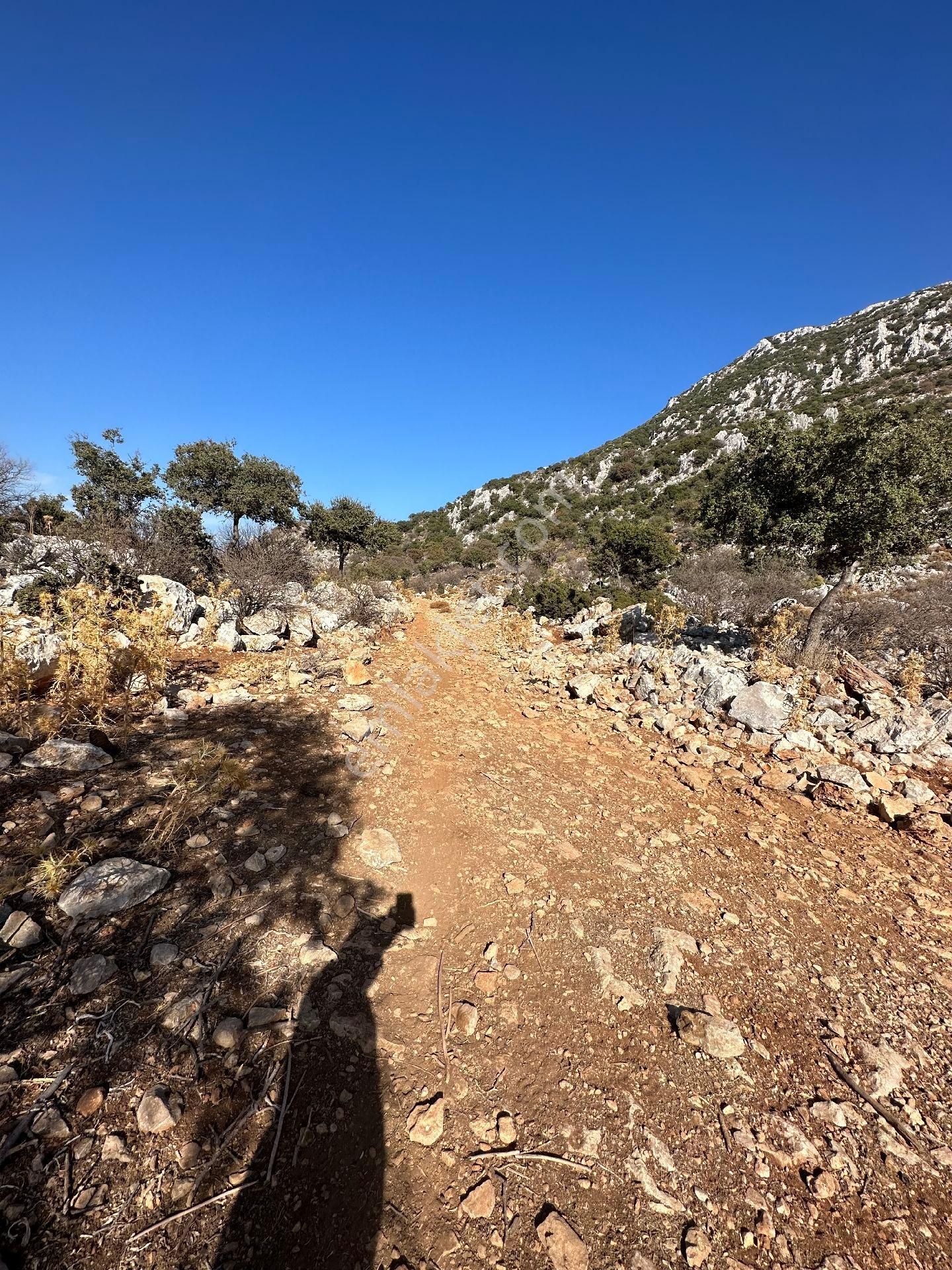 Joker: Köy Merkezine 750 Metre Yakınlıkta Yol Cephe Yatırıma Uygun Tarla - Görsel 2
