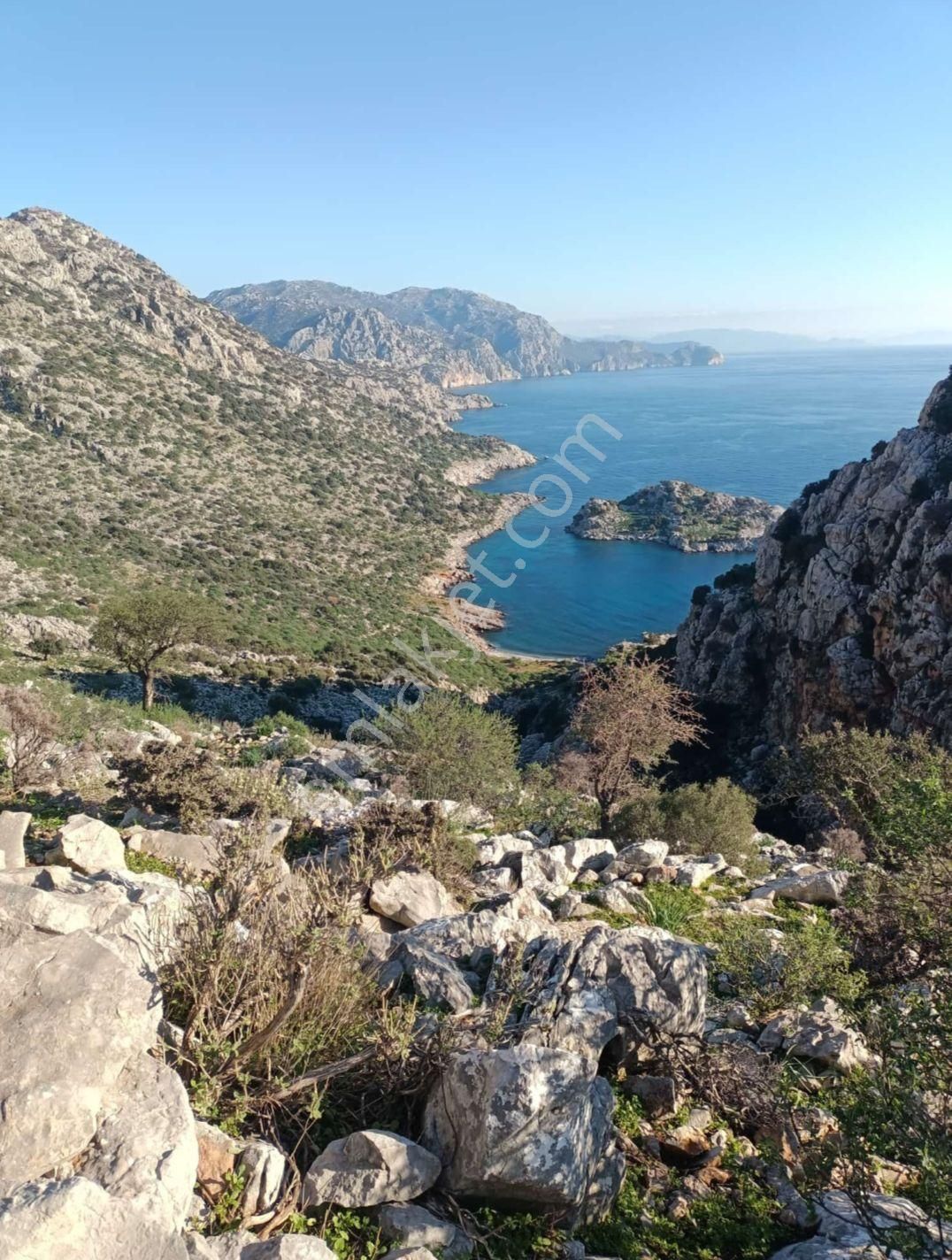 Joker: Köy Merkezine 750 Metre Yakınlıkta Yol Cephe Yatırıma Uygun Tarla - Görsel 8