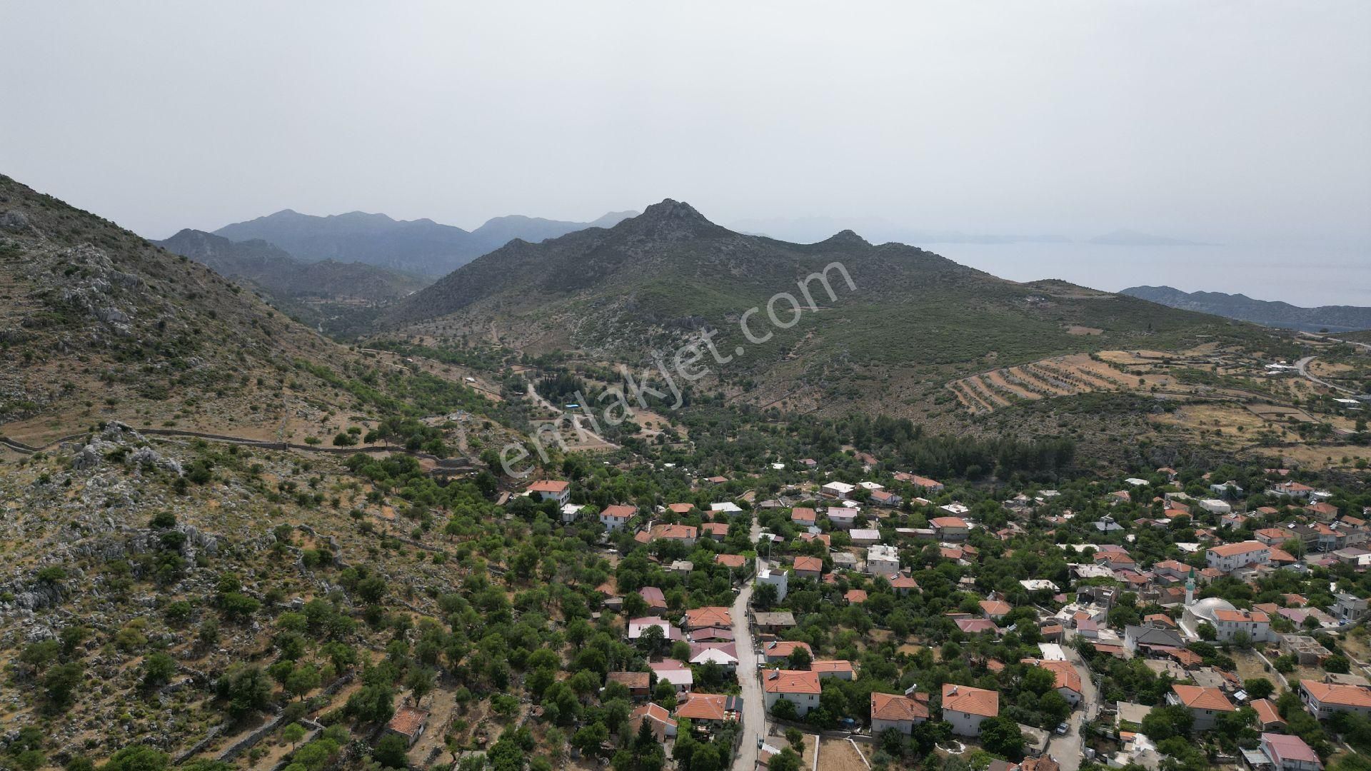 Joker: Köy Merkezine 750 Metre Yakınlıkta Yol Cephe Yatırıma Uygun Tarla - Görsel 5