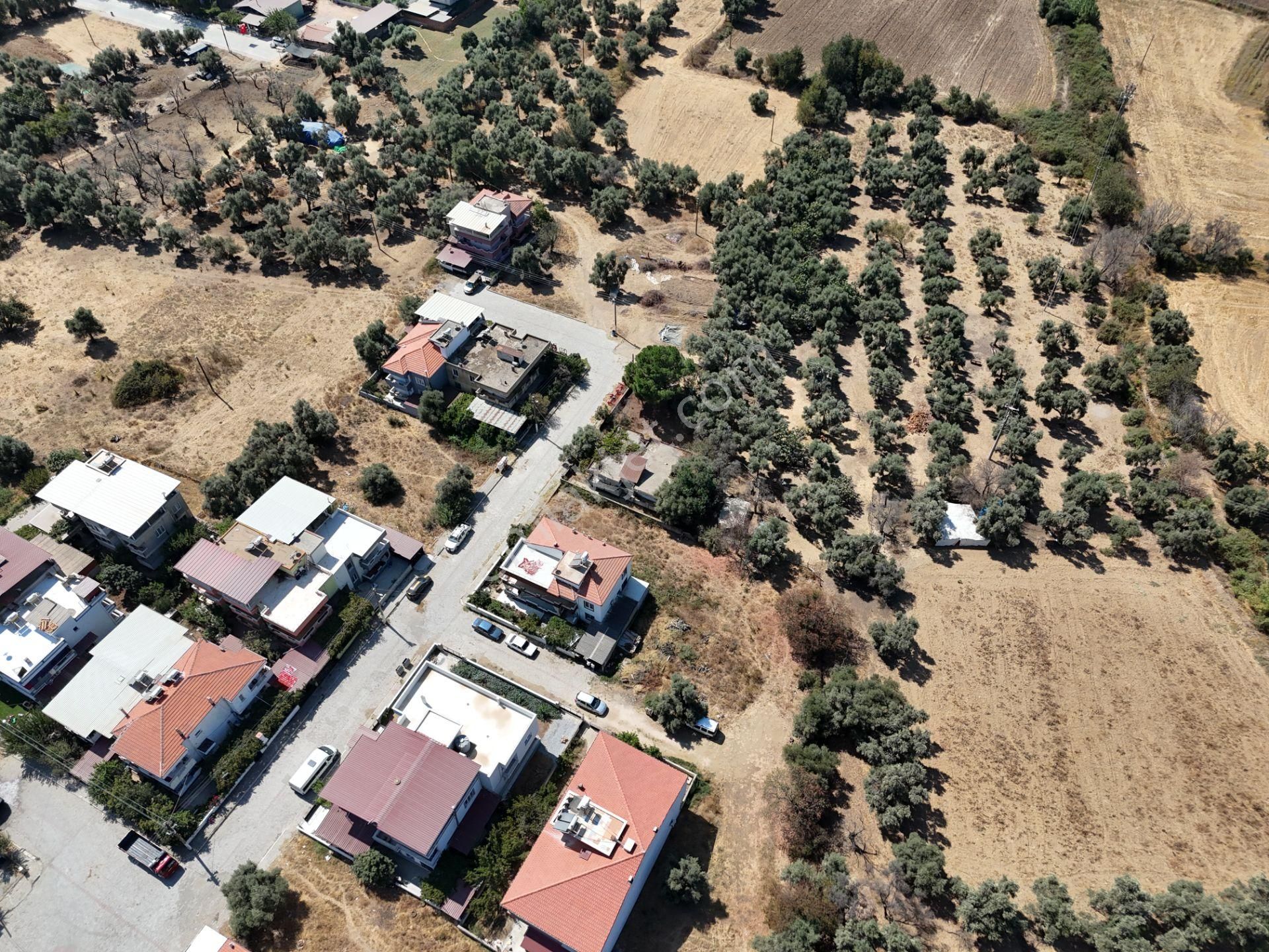 Milas Selimiye'de Muhteşem Konumda İmarlı Arsa - Görsel 31