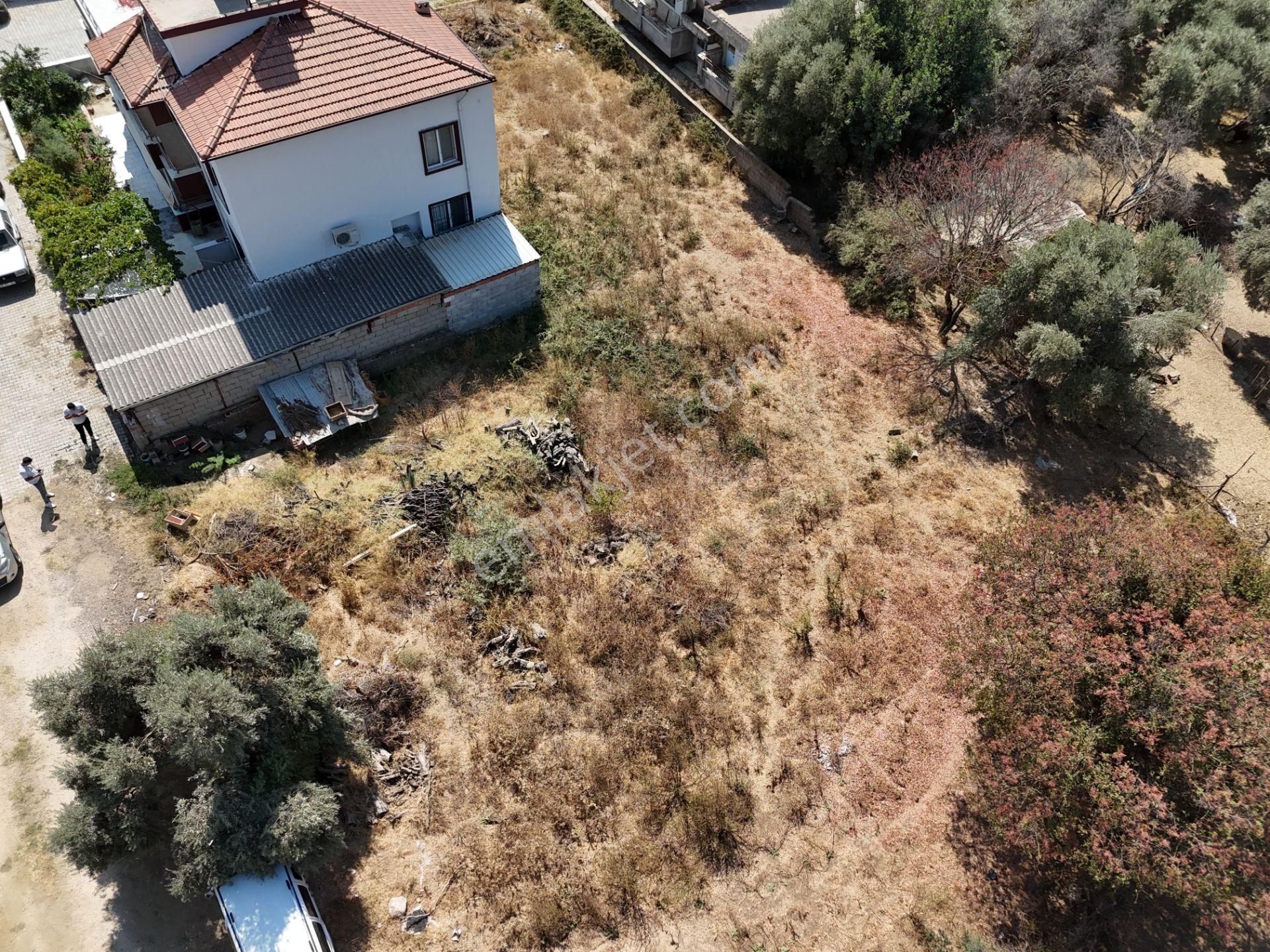 Milas Selimiye'de Muhteşem Konumda İmarlı Arsa - Görsel 5