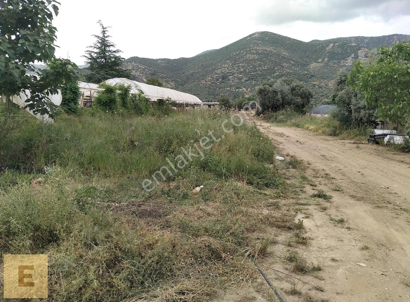 Erşar Emlak'tan Satılık Sera Ve Arazi - Görsel 2