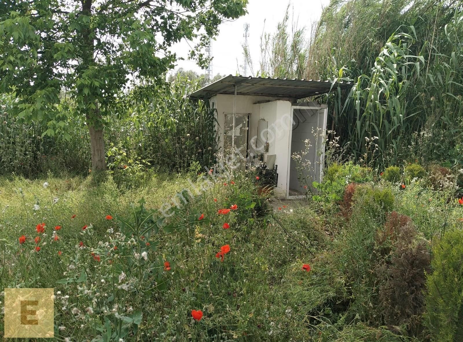 Erşar Emlak'tan Satılık Sera Ve Arazi - Görsel 16