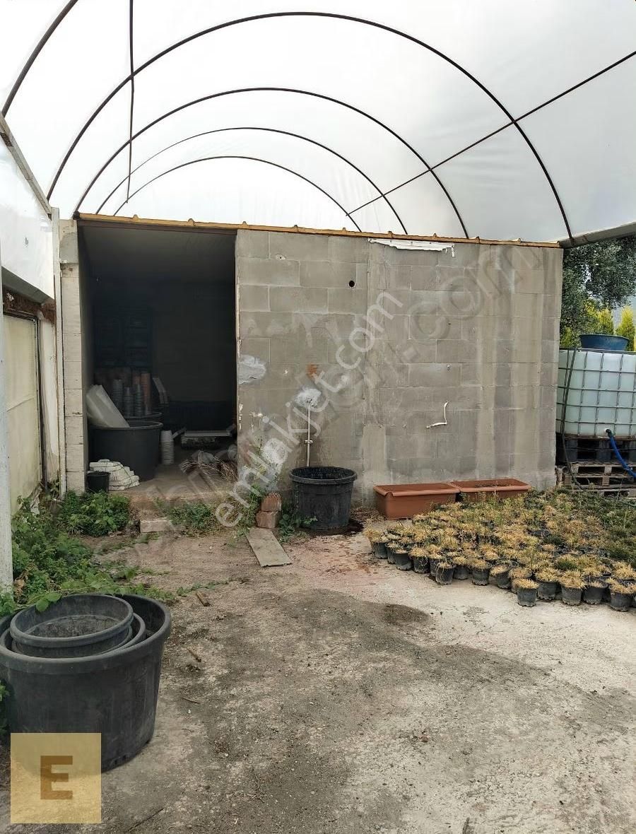 Erşar Emlak'tan Satılık Sera Ve Arazi - Görsel 23