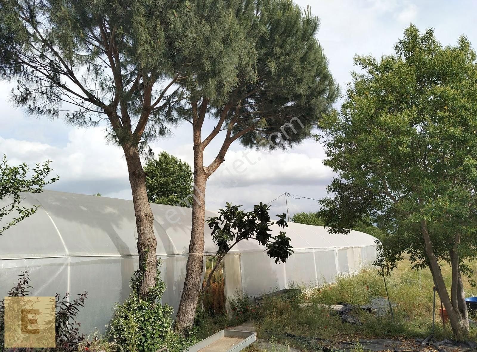 Erşar Emlak'tan Satılık Sera Ve Arazi - Görsel 24