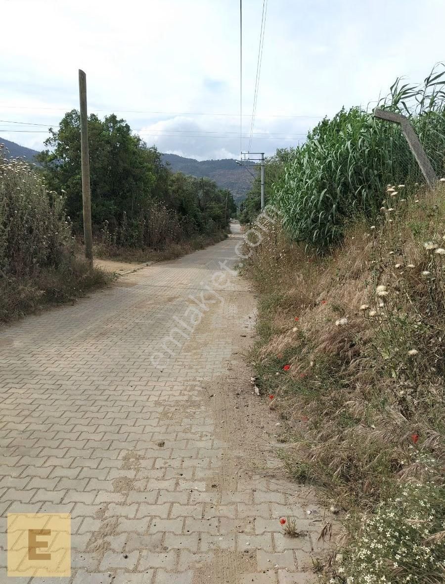 Erşar Emlak'tan Satılık Sera Ve Arazi - Görsel 12