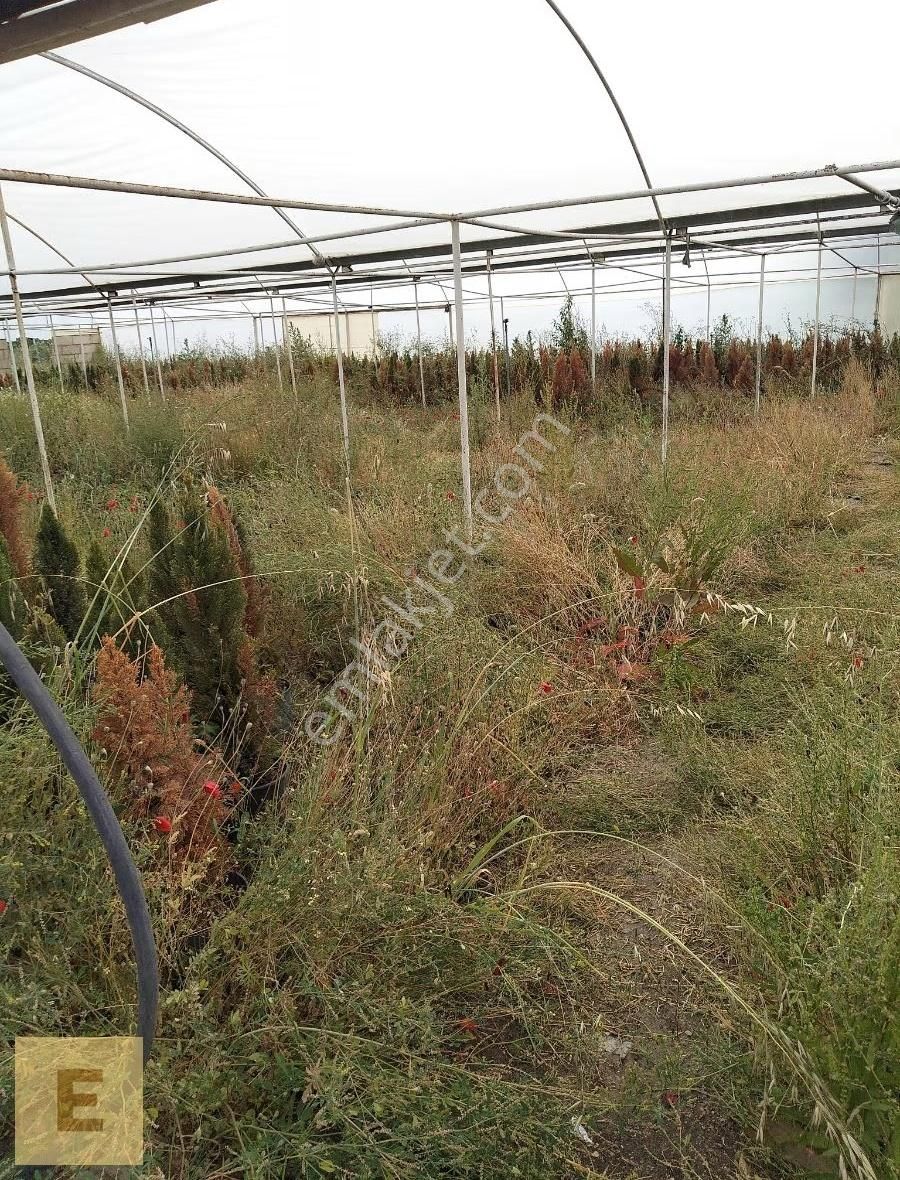 Erşar Emlak'tan Satılık Sera Ve Arazi - Görsel 14