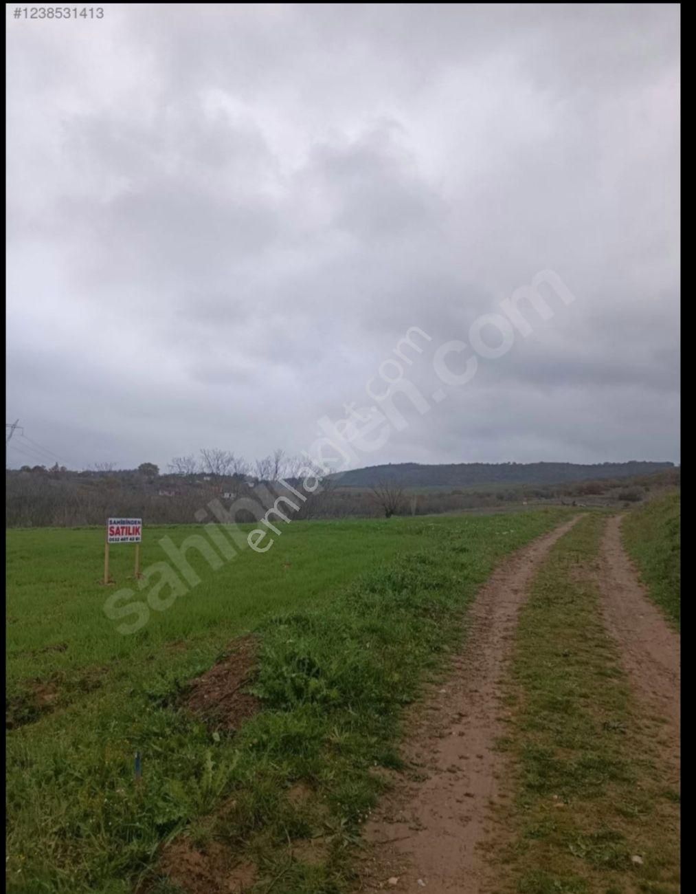 . Bursa Yenişehir Koyunhisar’da Satılık 3,5 Dönüm Verimli Tarla – Yolu Ve Manzarasıyla Kaçmaz! - Görsel 5