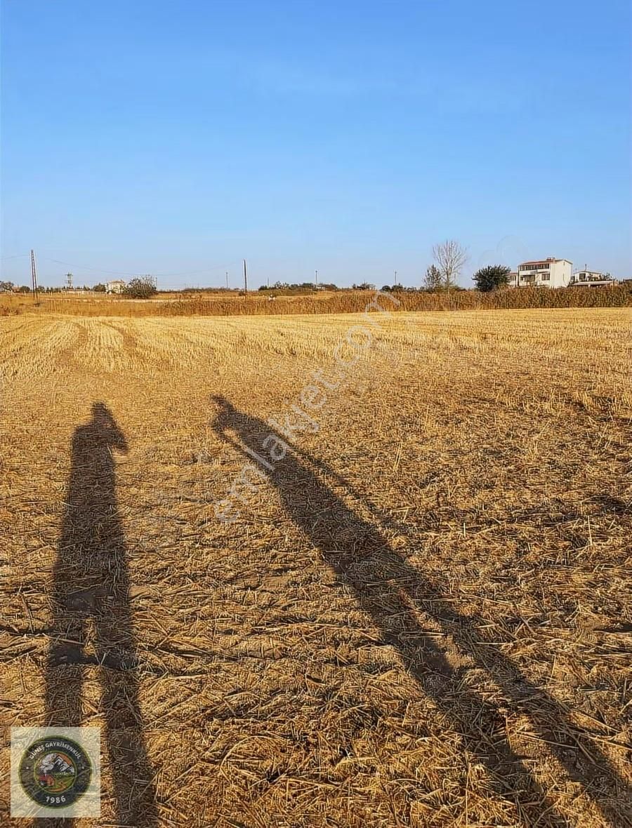 Bolayırda Yerleşim İçinde 300 M2 Tarla Hissesi - Görsel 3