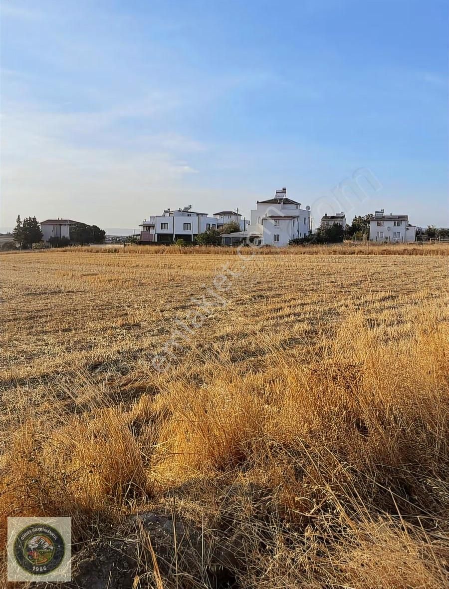 Bolayırda Yerleşim İçinde 300 M2 Tarla Hissesi - Görsel 2