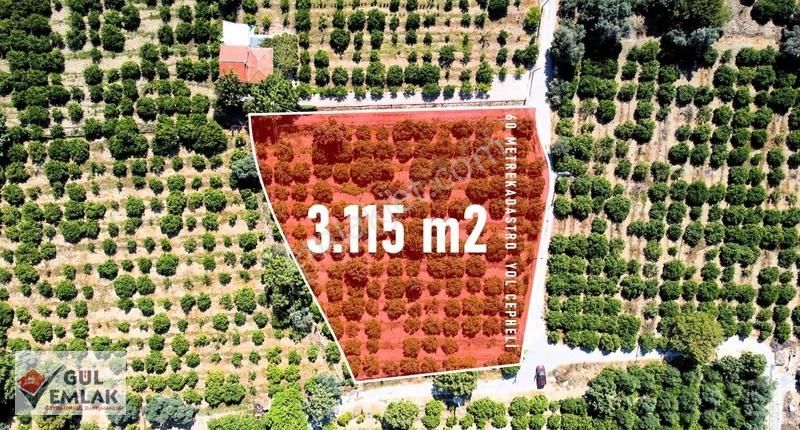 Sığacık Yolu Üzerinde Emsalsiz Bahçe - Görsel 6