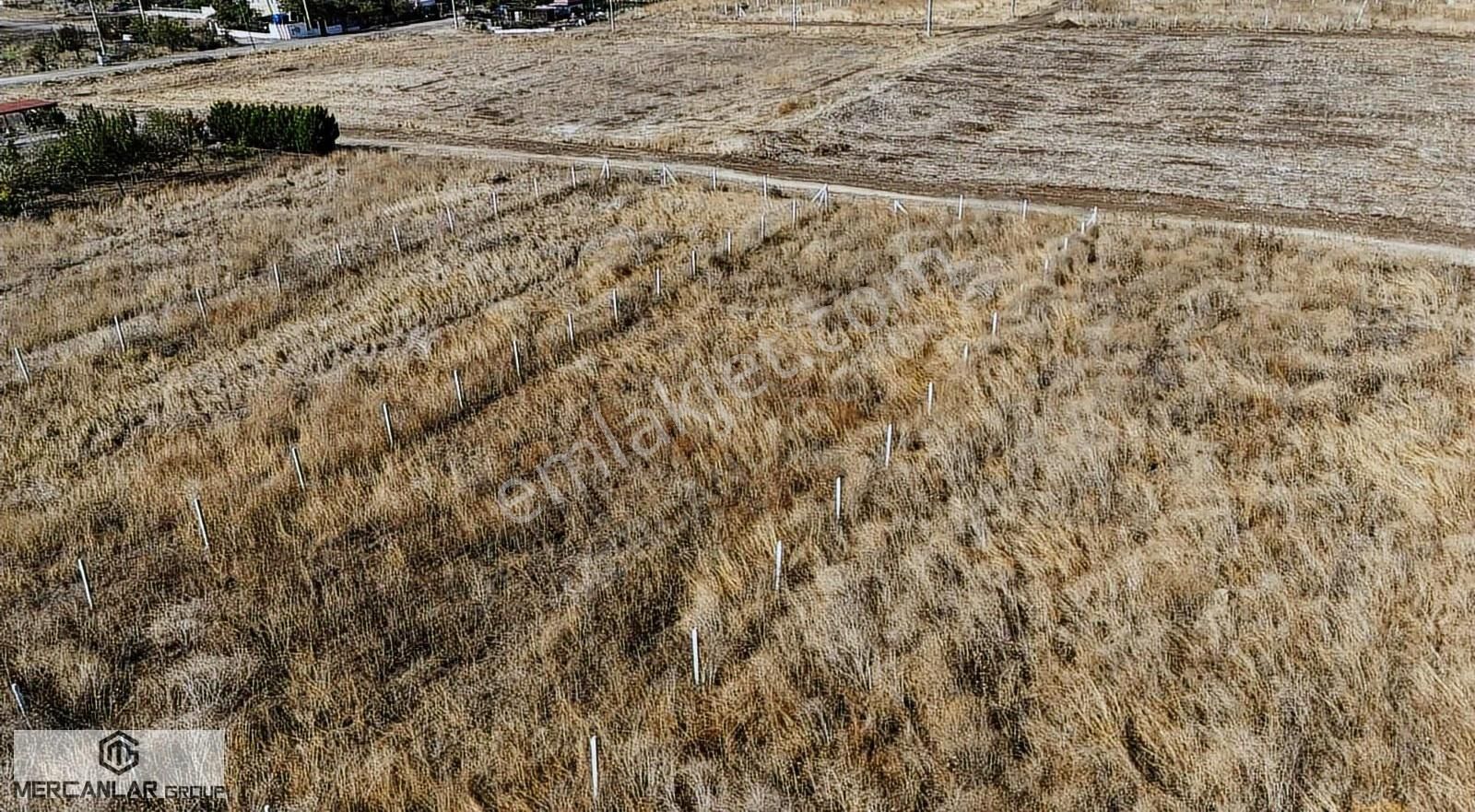 Süleymanpaşada Deniz Manzaralı Villa İmarlı 720 Metre Arsa!!! - Görsel 7