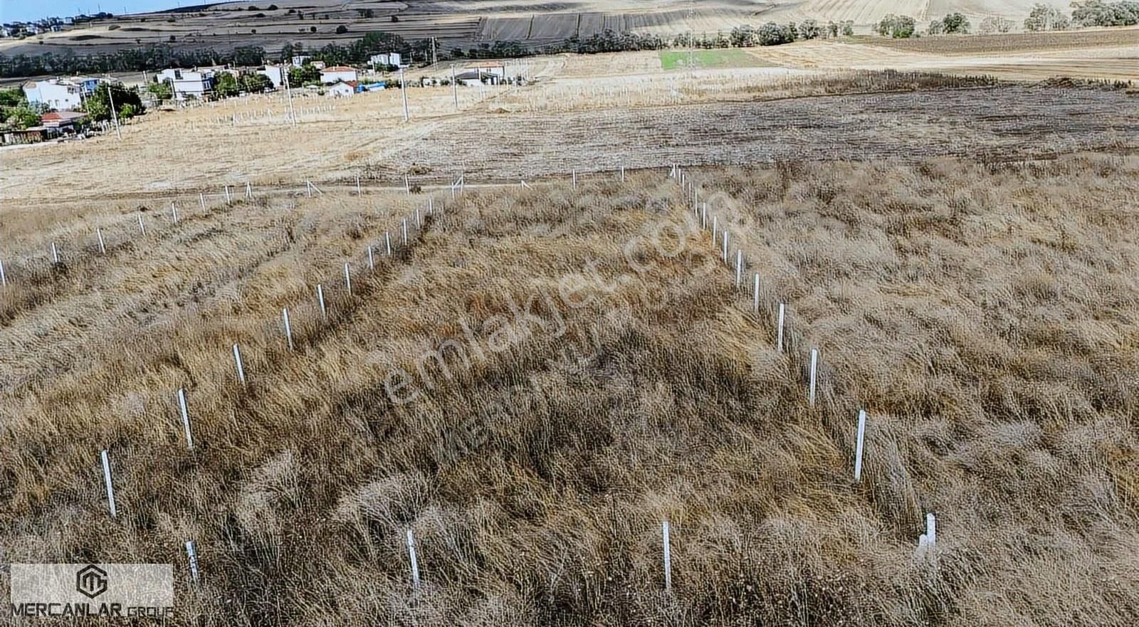 Süleymanpaşada Deniz Manzaralı Villa İmarlı 720 Metre Arsa!!! - Görsel 5