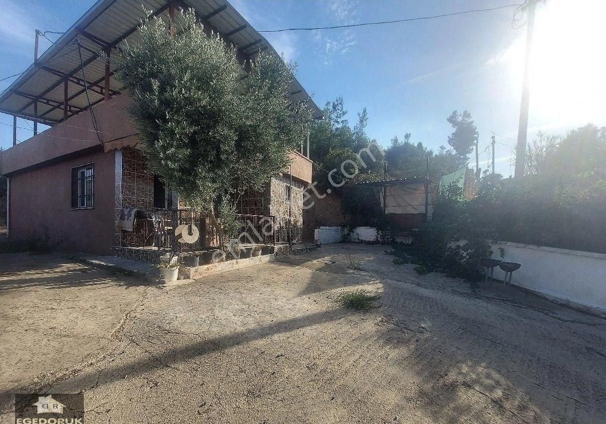İzmir Kemalpaşa Armutlu -ören Arasında Asfalt Cephelı Zeytinlik - Görsel 26
