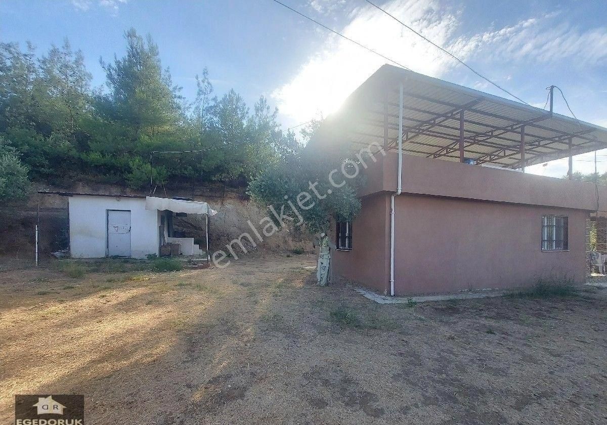 İzmir Kemalpaşa Armutlu -ören Arasında Asfalt Cephelı Zeytinlik - Görsel 20