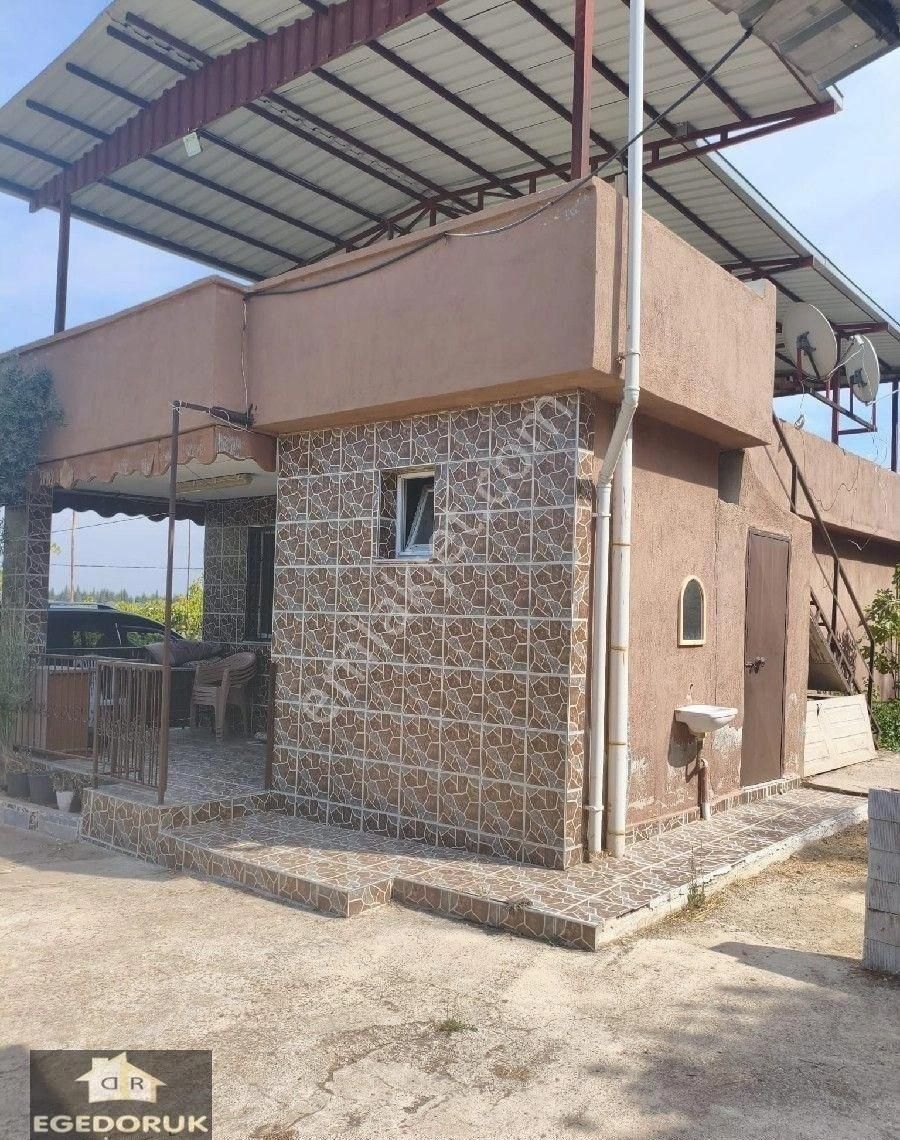İzmir Kemalpaşa Armutlu -ören Arasında Asfalt Cephelı Zeytinlik - Görsel 29