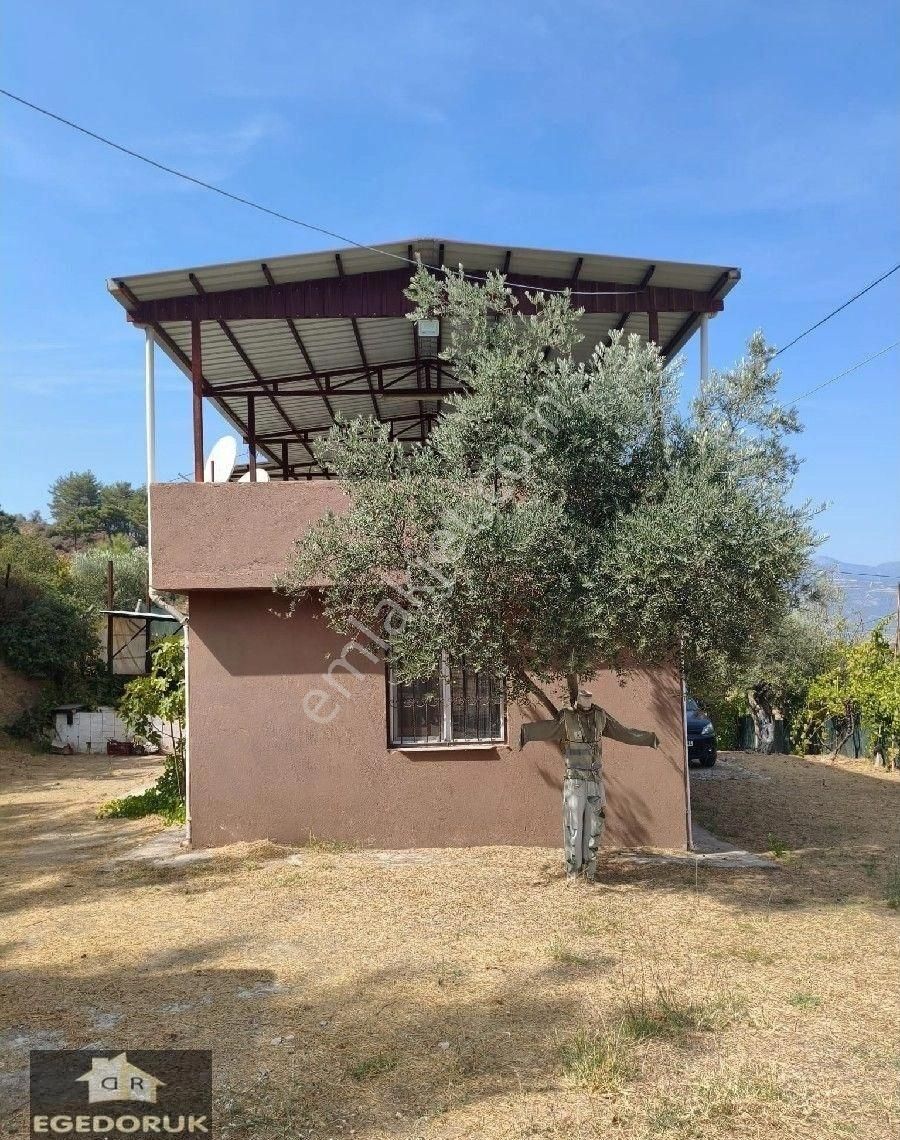 İzmir Kemalpaşa Armutlu -ören Arasında Asfalt Cephelı Zeytinlik