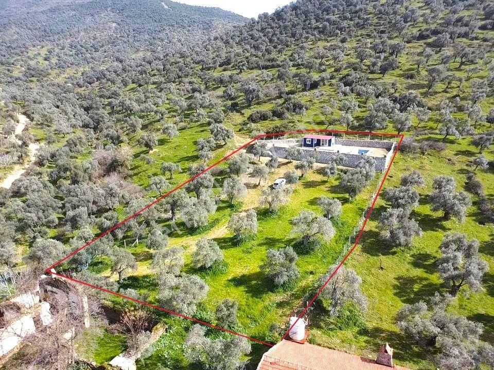 Bayındır Ve Ege Bölgesinin En Güzel Yeri Satılık - Görsel 17