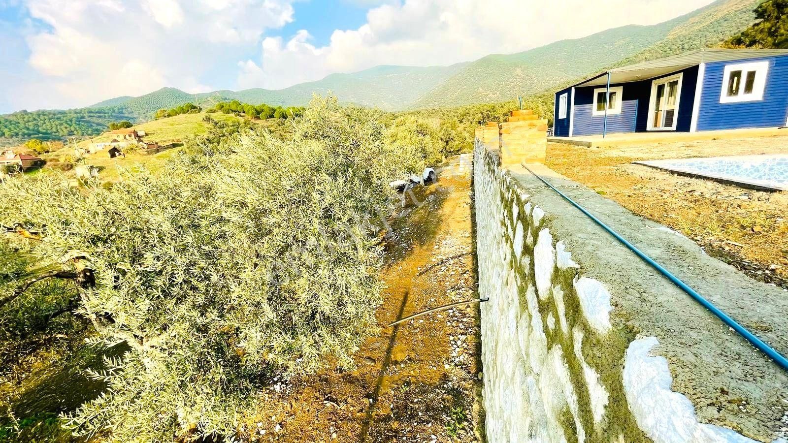 Bayındır Ve Ege Bölgesinin En Güzel Yeri Satılık - Görsel 34