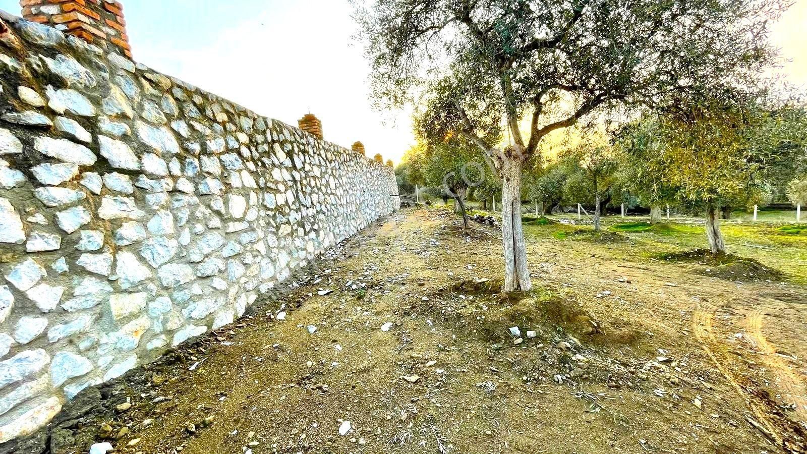 Bayındır Ve Ege Bölgesinin En Güzel Yeri Satılık - Görsel 4