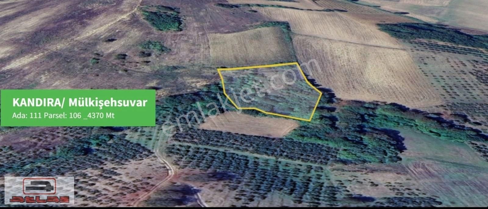 Kandırada Kadastrol Yolu Olan 4.370 M² Yatırımlık Arazi Takas - Görsel 2