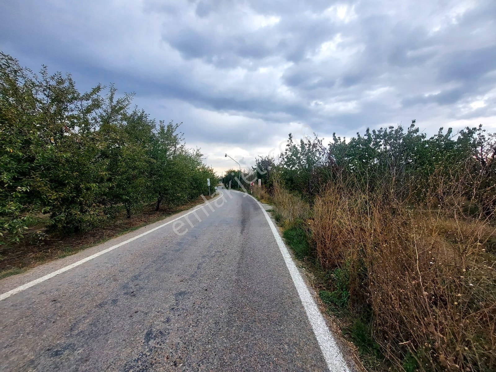 Bizimim Emlaktan Atakent'te 9.750 M² Muhteşem Fırsat - Görsel 5