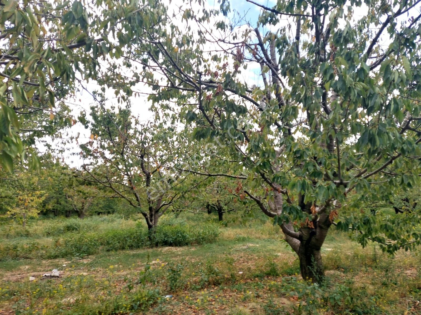 Bizimim Emlaktan Atakent'te 9.750 M² Muhteşem Fırsat - Görsel 21