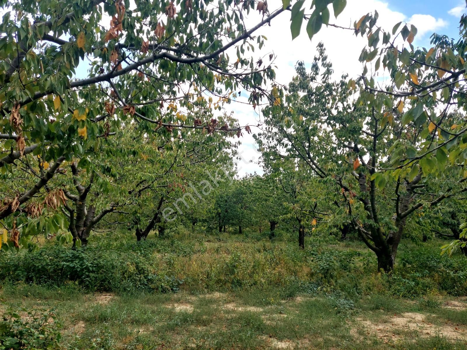 Bizimim Emlaktan Atakent'te 9.750 M² Muhteşem Fırsat - Görsel 14
