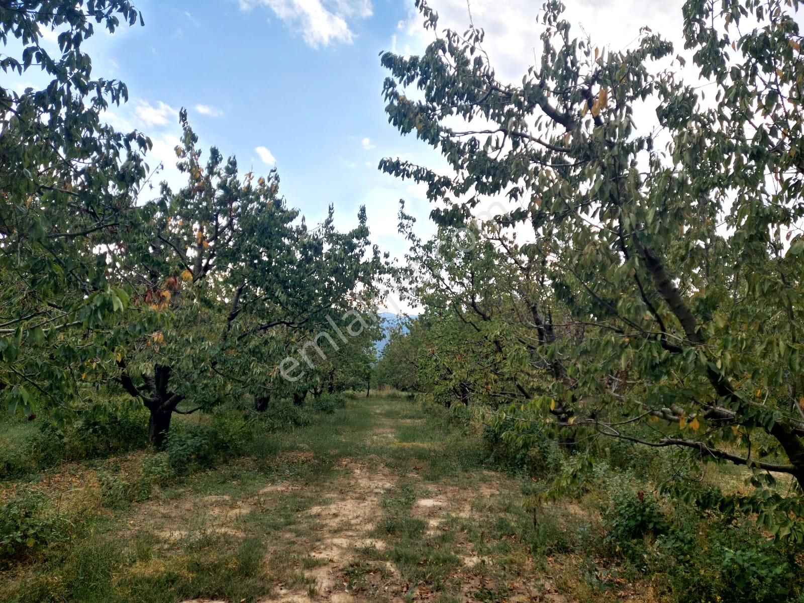 Bizimim Emlaktan Atakent'te 9.750 M² Muhteşem Fırsat - Görsel 19