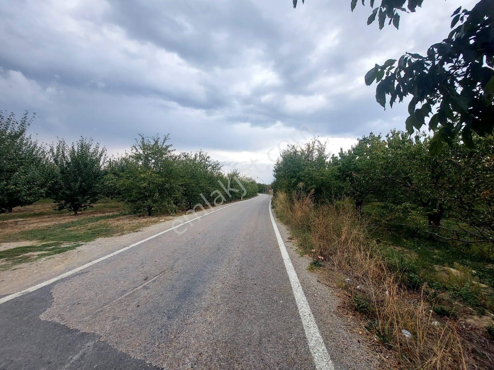 Bizimim Emlaktan Atakent'te 9.750 M² Muhteşem Fırsat - Görsel 7