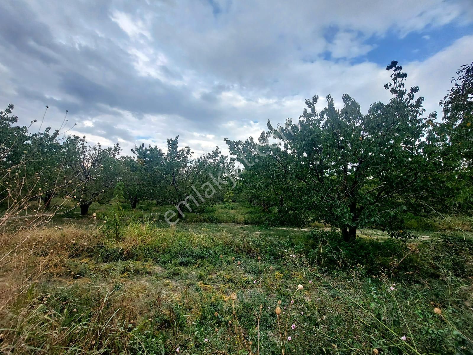 Bizimim Emlaktan Atakent'te 9.750 M² Muhteşem Fırsat - Görsel 4