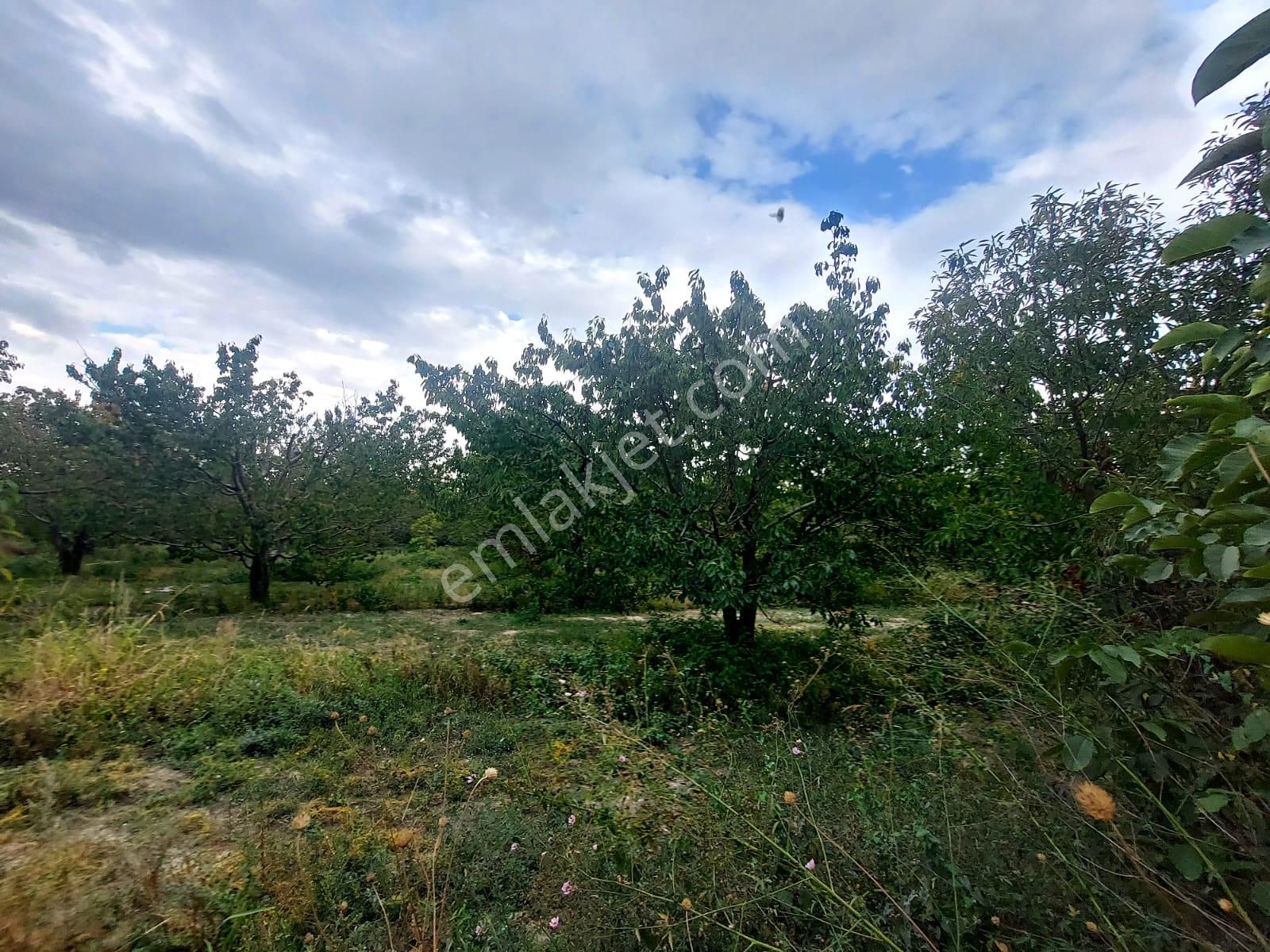 Bizimim Emlaktan Atakent'te 9.750 M² Muhteşem Fırsat - Görsel 3