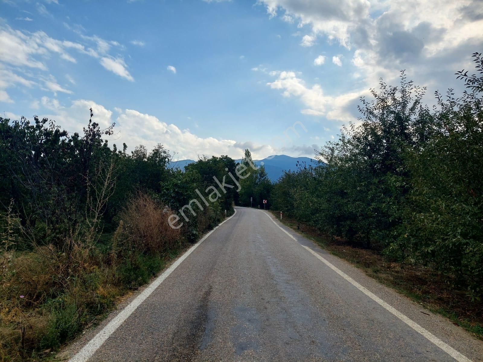 Bizimim Emlaktan Atakent'te 9.750 M² Muhteşem Fırsat - Görsel 22