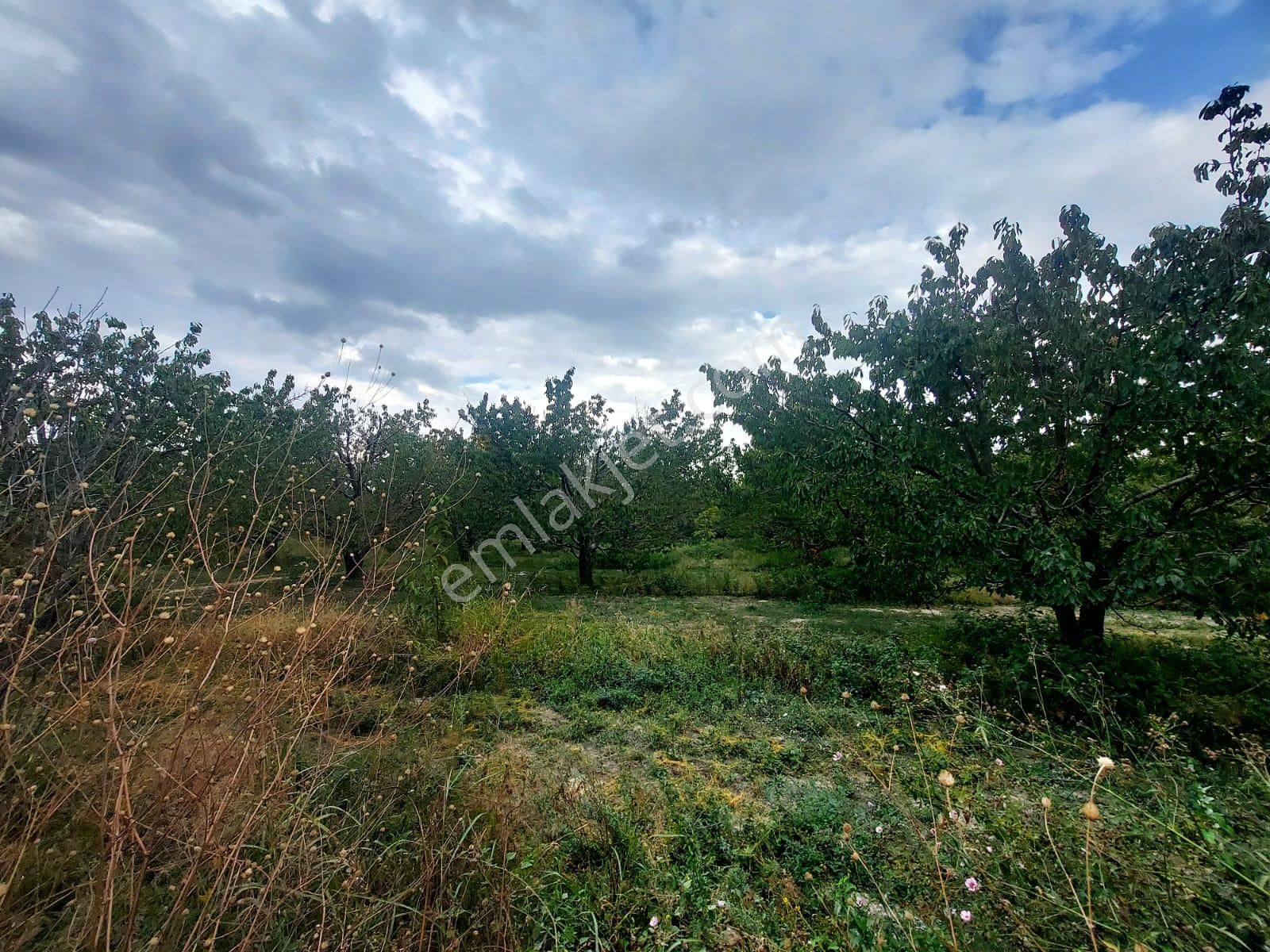 Bizimim Emlaktan Atakent'te 9.750 M² Muhteşem Fırsat - Görsel 2