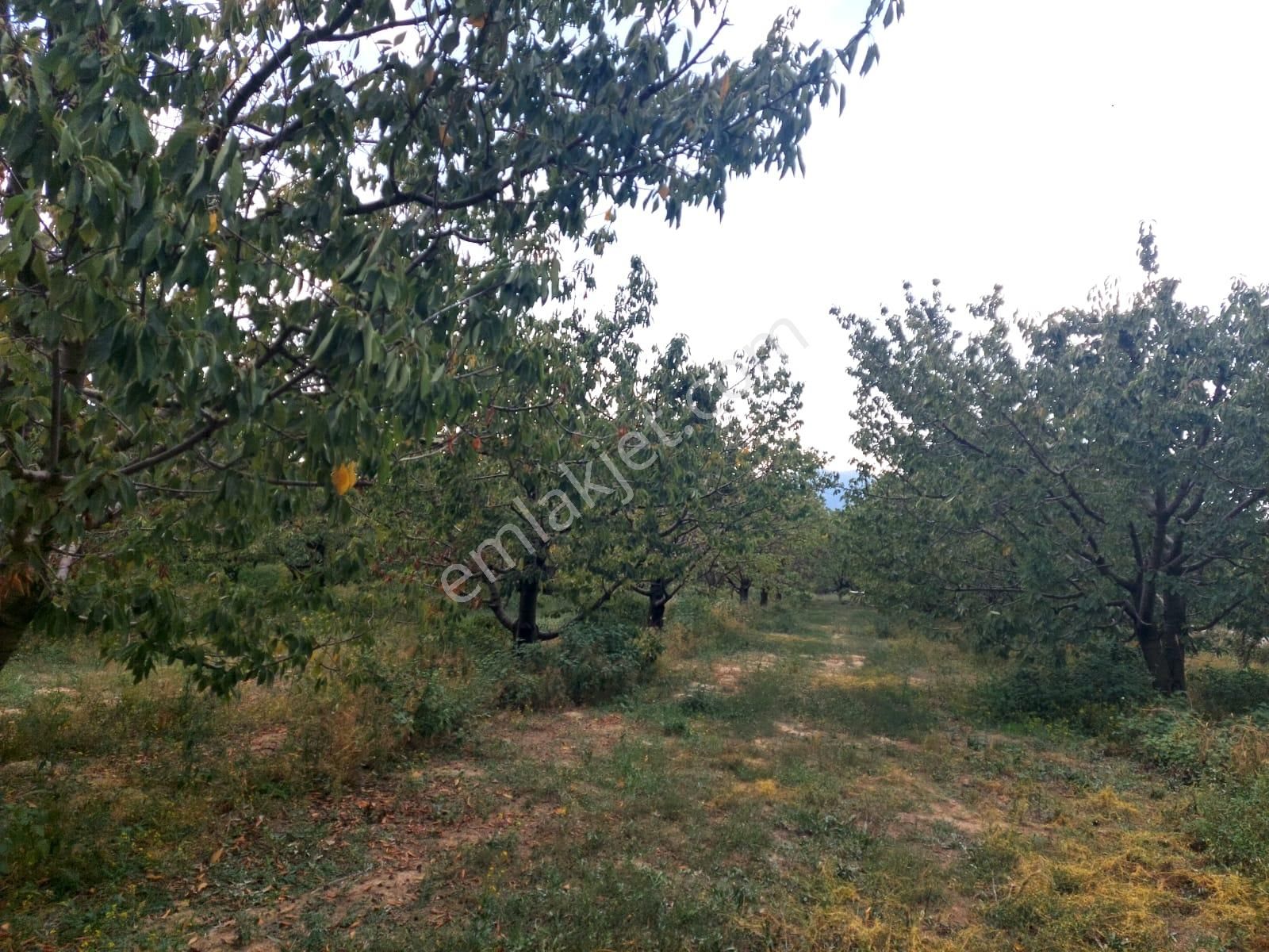 Bizimim Emlaktan Atakent'te 9.750 M² Muhteşem Fırsat - Görsel 20