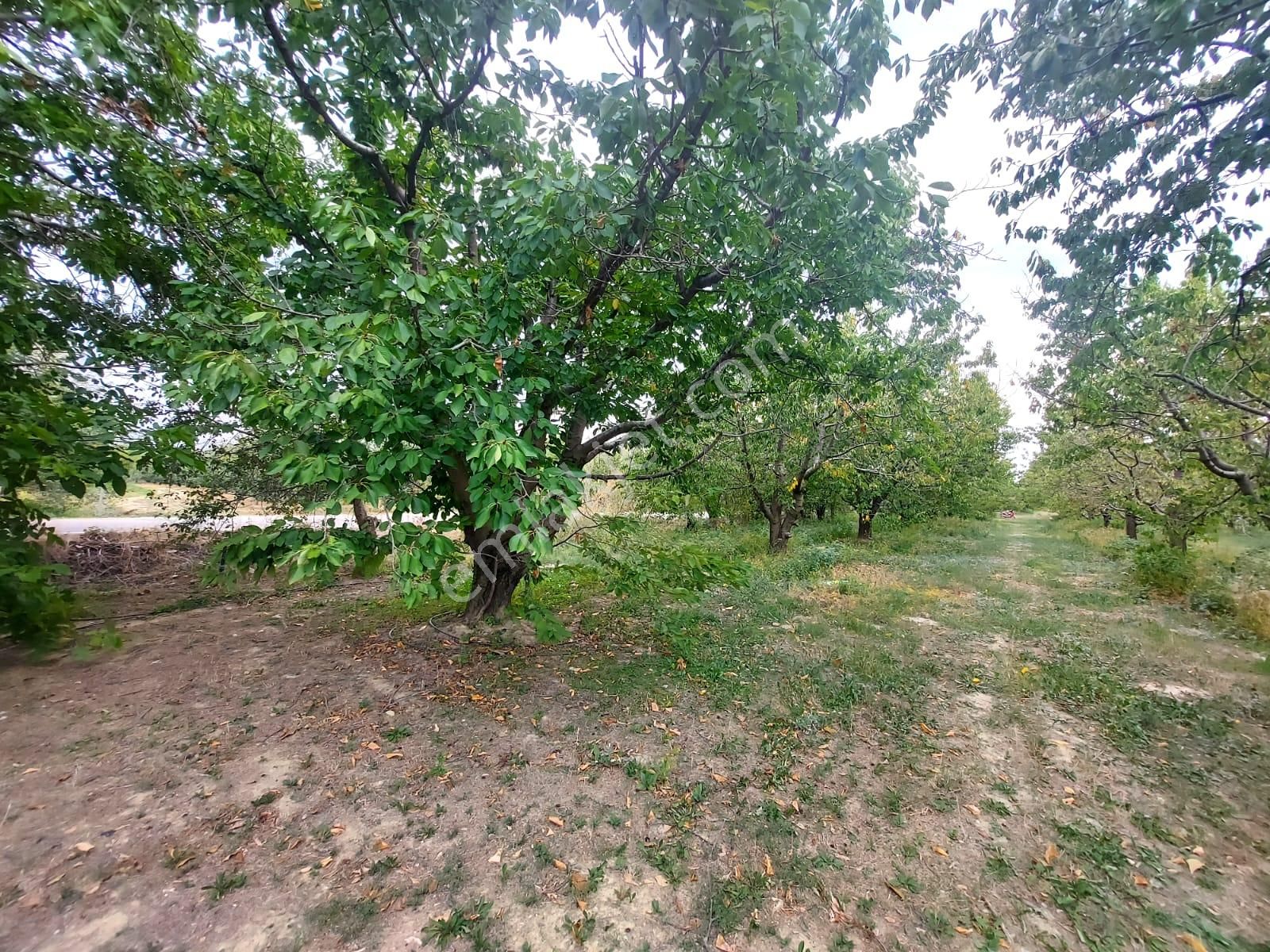 Bizimim Emlaktan Atakent'te 9.750 M² Muhteşem Fırsat - Görsel 9