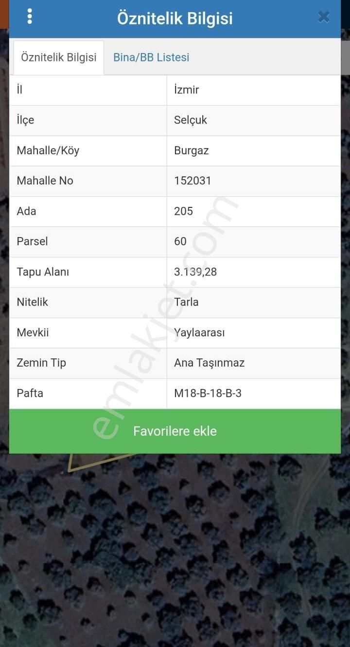 İzmir Selçuk Gökçealan Köyü'nde Satılık Zeytinlik - Görsel 2