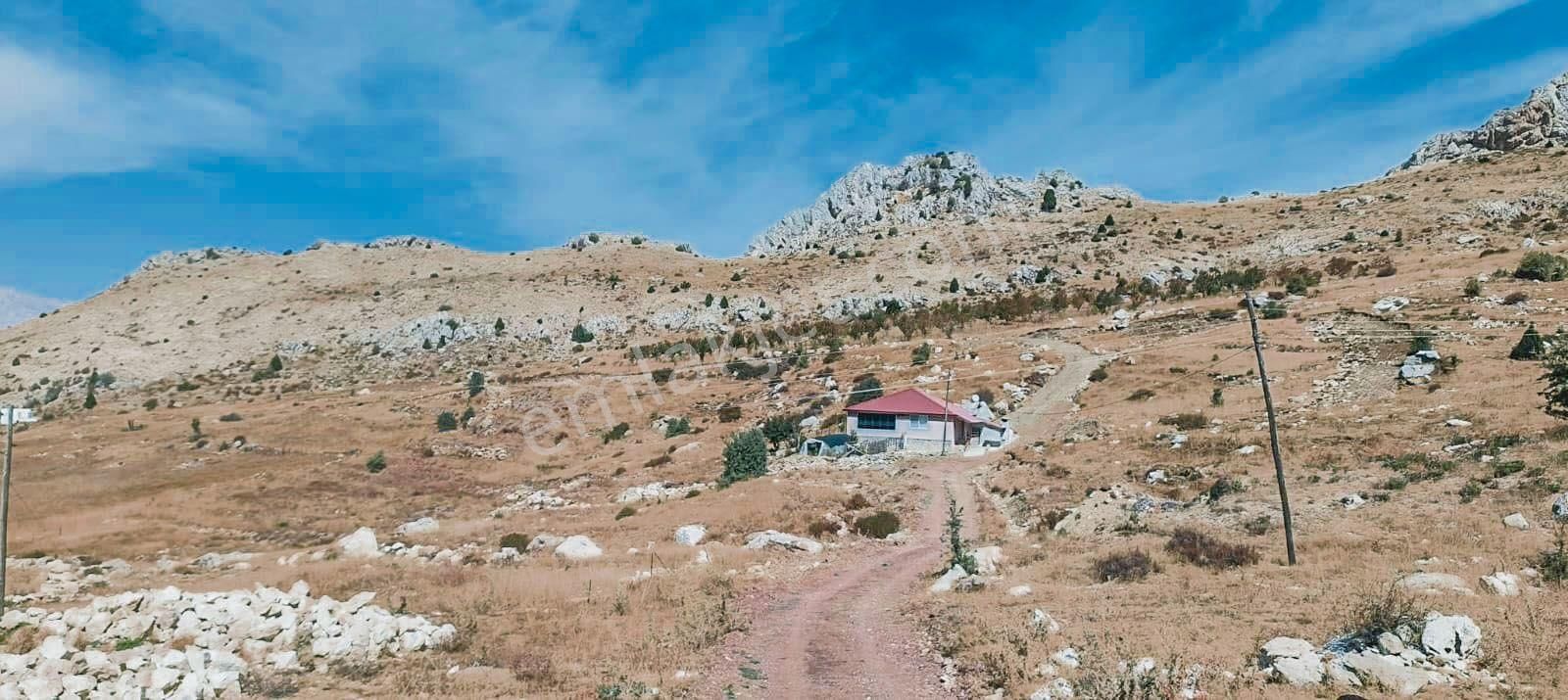 Alanya Gökbel Yaylası’nda Satılık Tek Tapu 2.850 M2 Tarla - Görsel 12