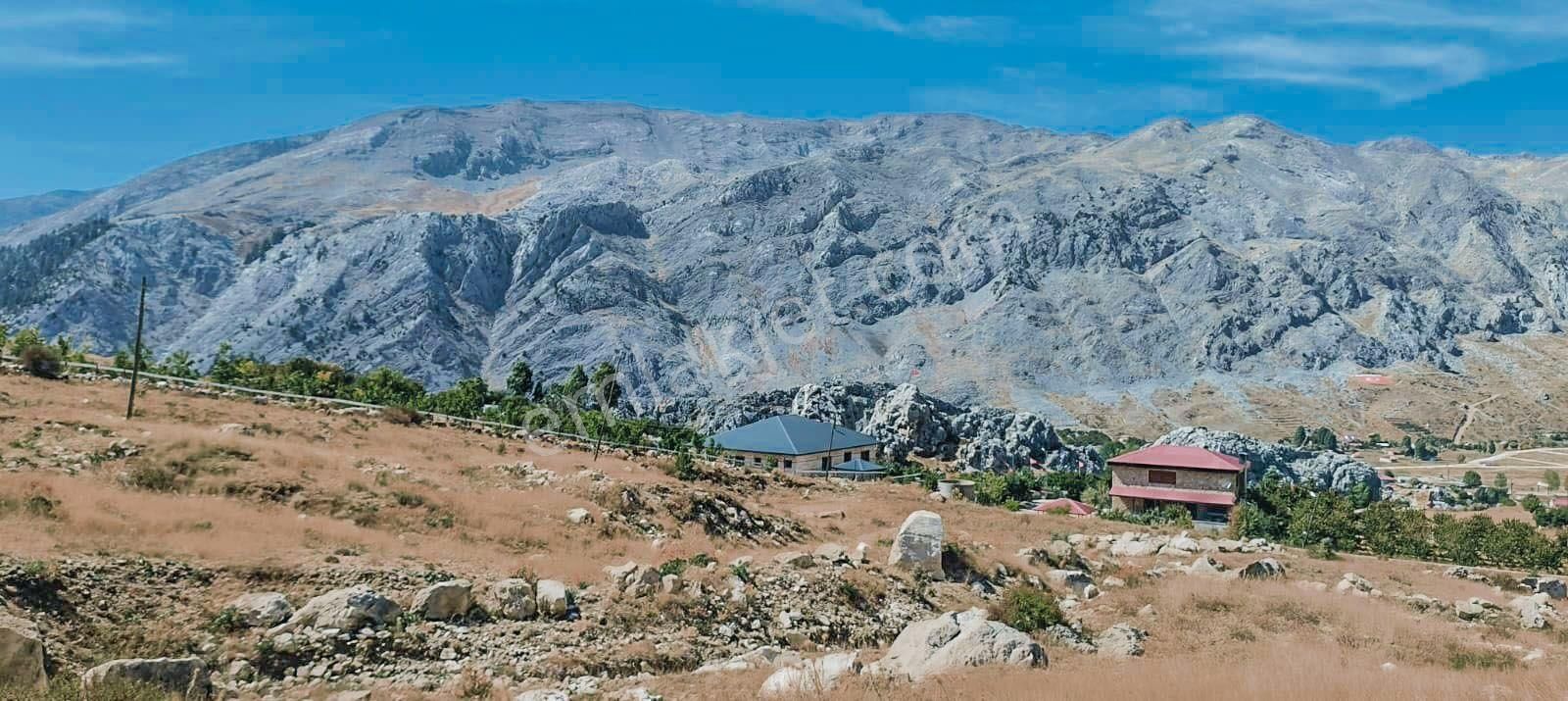 Alanya Gökbel Yaylası’nda Satılık Tek Tapu 2.850 M2 Tarla - Görsel 14
