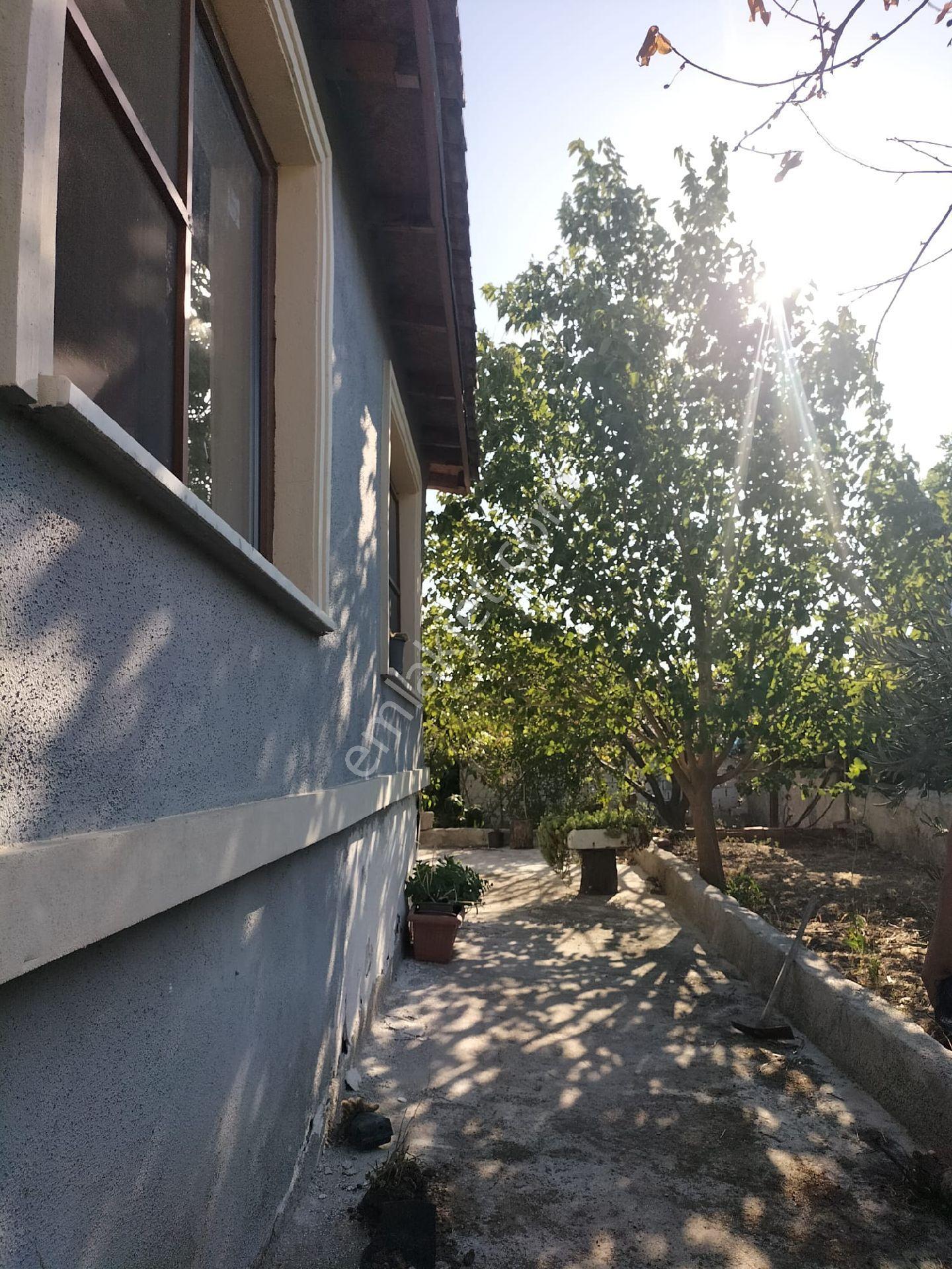 Havran İnönü Köyünde Satilik Geniş Bahçeli Müstakil Ev Ve Müştemilatt - Görsel 35