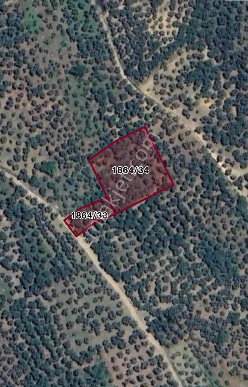Manastır Emlak'tan Karacaali'de 2 Parsel Satılık Zeytinlik..! - Görsel 4