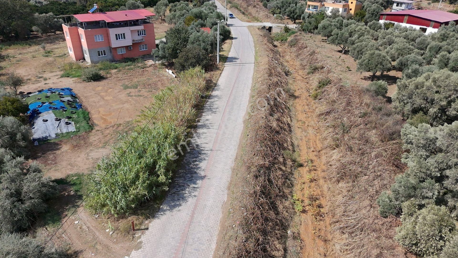 Aydın / Nazilli – Arslanlı Bölgesinde Kaçırılmaz Fırsat! - Görsel 9