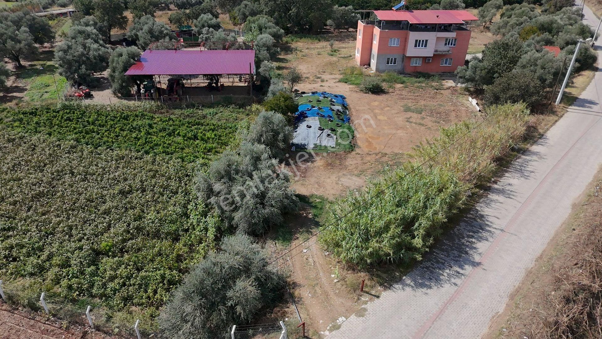 Aydın / Nazilli – Arslanlı Bölgesinde Kaçırılmaz Fırsat! - Görsel 7