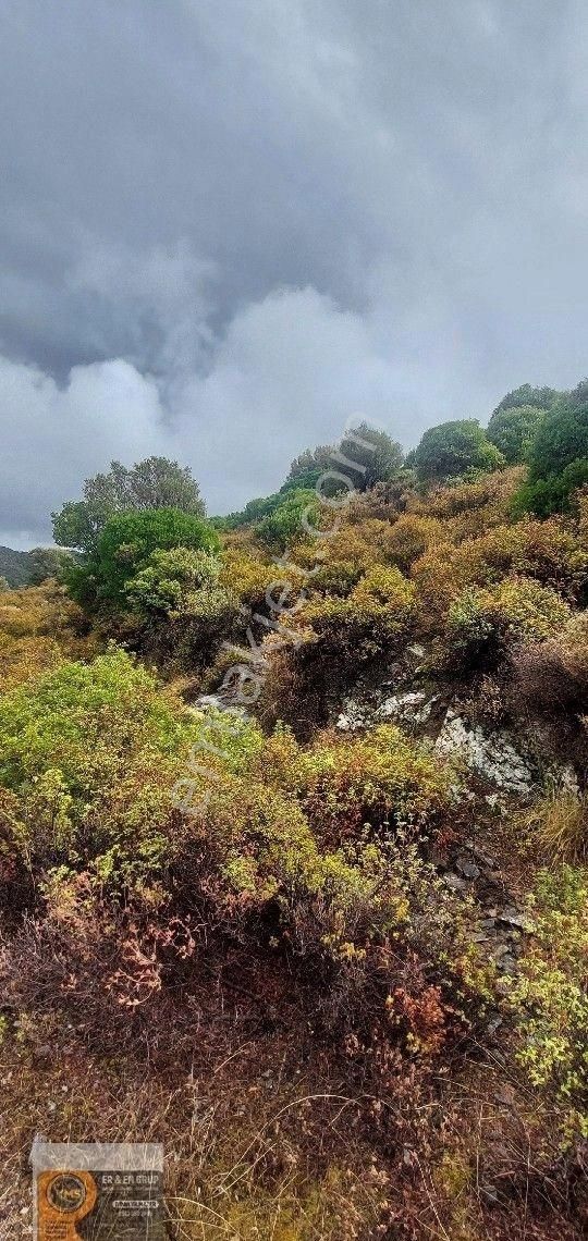 Yeni Foça Da Deniz Manzaralı 15/30 İmarlı 244 Metrekare Tek Nizamlı Müstakil Villa Arsası - Görsel 2
