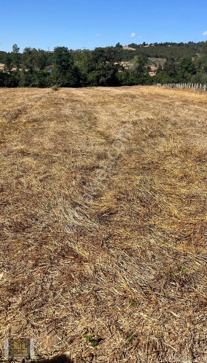 Kavak Tepecik Mahallesinde Yola Cephe Satılık Tarla