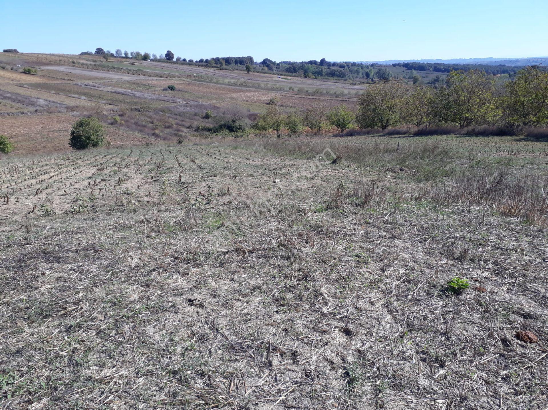 Sakarya Kaynarca Kayacıkta 500m2 Konut İmarlı Satılık Arsalar - Görsel 7
