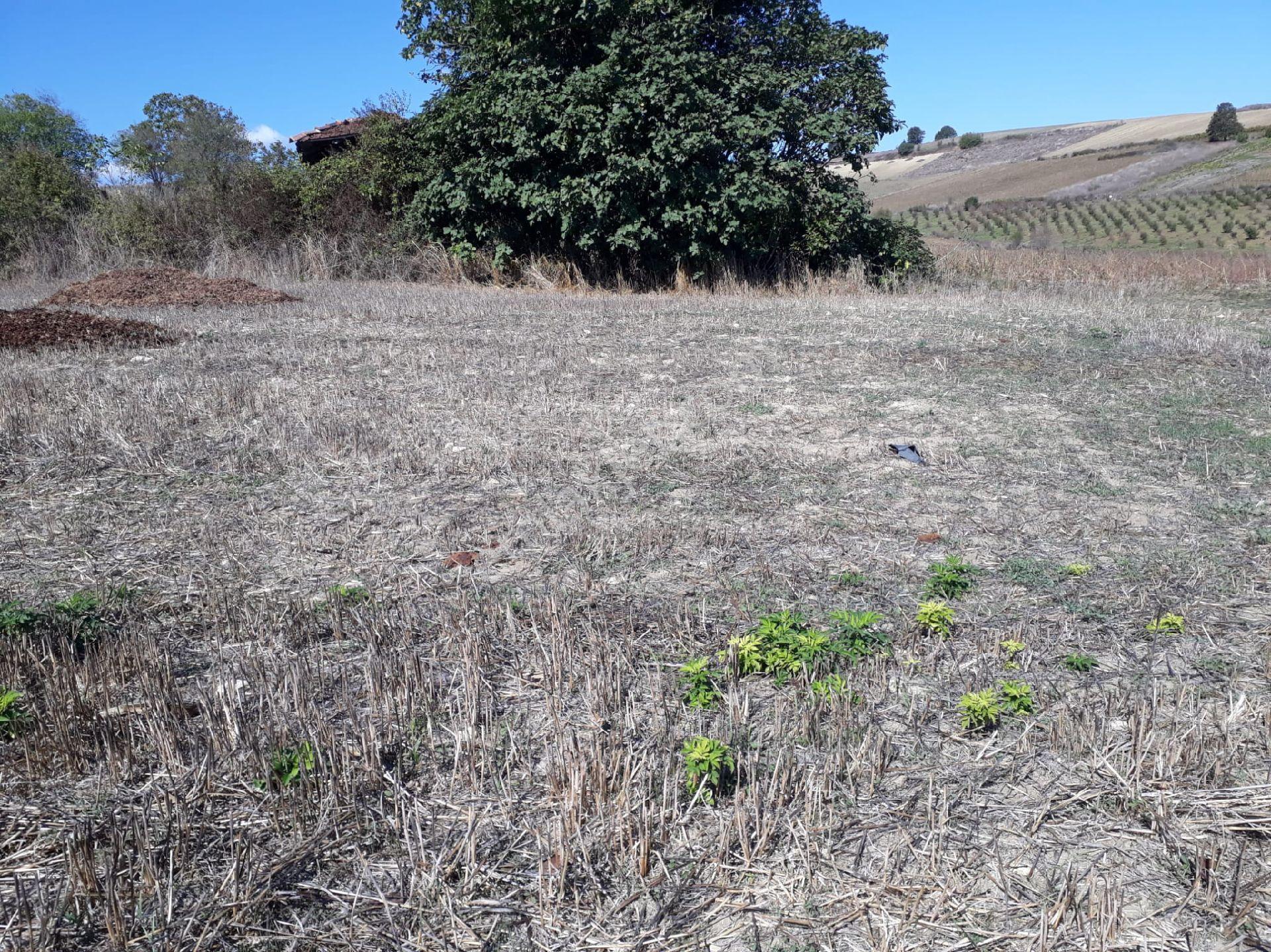 Sakarya Kaynarca Kayacıkta 500m2 Konut İmarlı Satılık Arsalar - Görsel 15