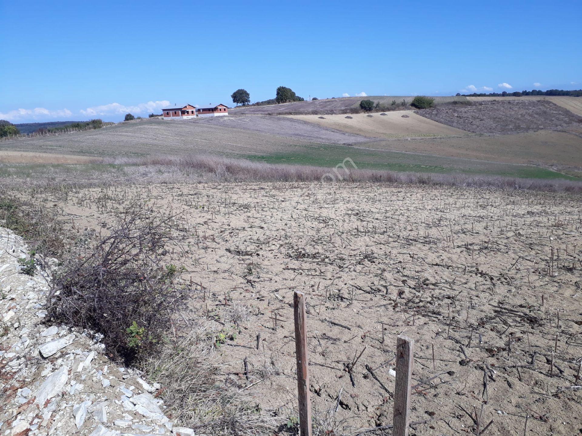 Sakarya Kaynarca Kayacıkta 500m2 Konut İmarlı Satılık Arsalar - Görsel 11
