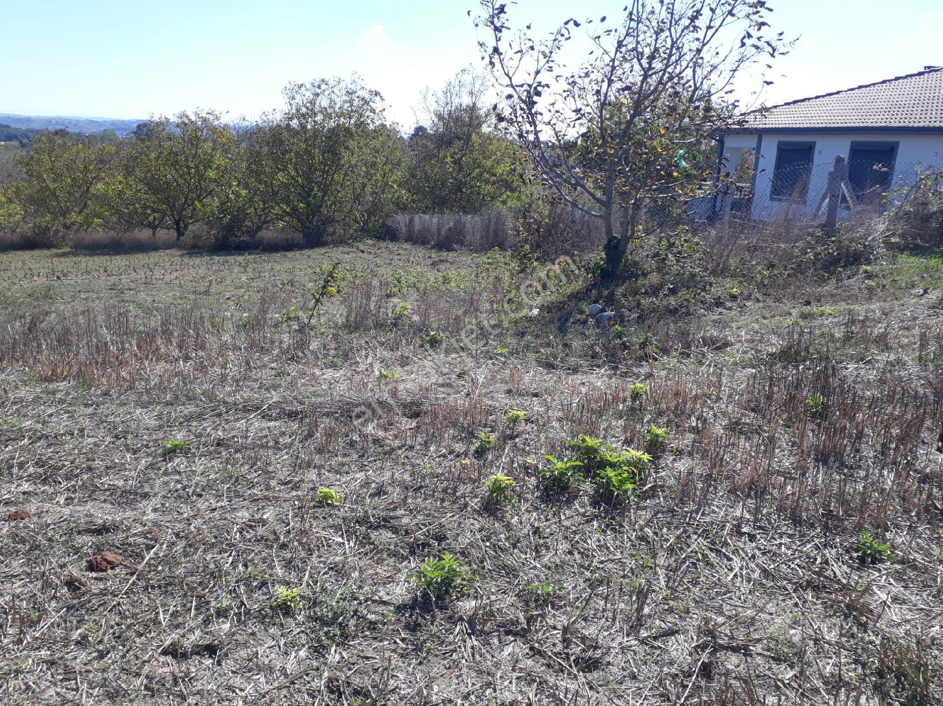 Sakarya Kaynarca Kayacıkta 500m2 Konut İmarlı Satılık Arsalar - Görsel 12