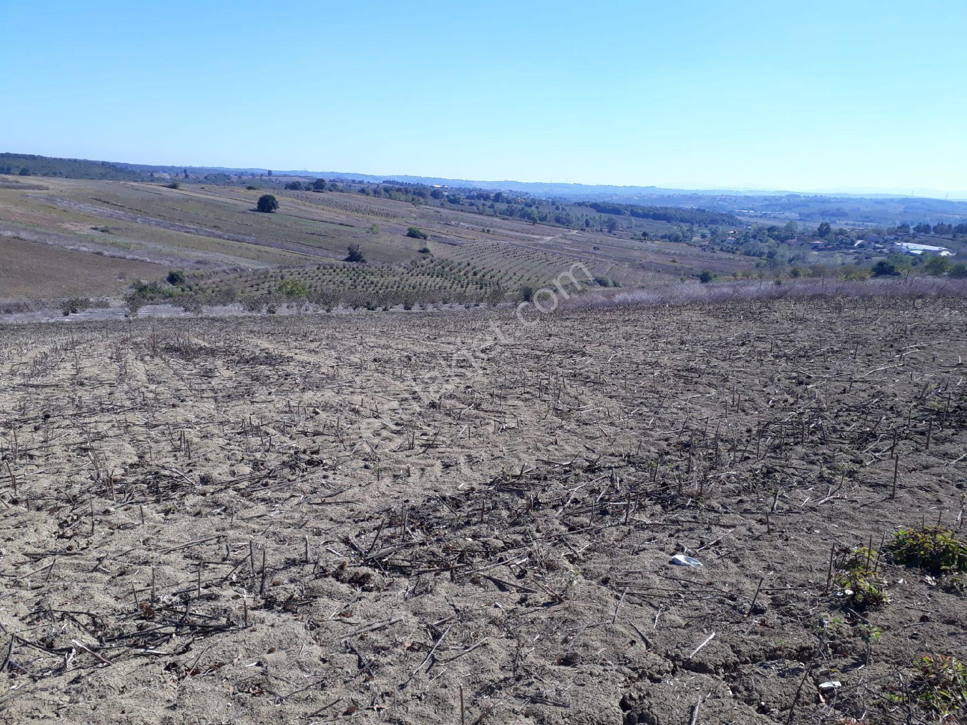 Sakarya Kaynarca Kayacıkta 500m2 Konut İmarlı Satılık Arsalar - Görsel 9